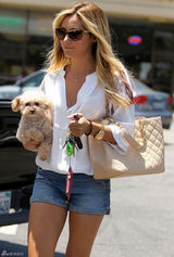 组图：阿什丽-提斯代尔街拍宠物狗抢镜