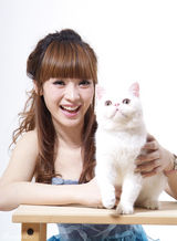 高清图：柳岩居家写真与猫共舞 想当家庭主妇游世界