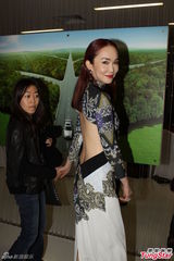 组图：关之琳矢口否认将嫁 众星争艳露胸秀腿