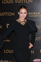 甄子丹妻子否认再办婚礼 阿Sa闭关未见陈伟霆