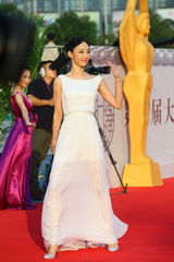 组图：金鸡百花电影节红毯星光熠熠