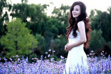组图：陶红娇媚写真曝光 紫花海中演绎白裙浪漫