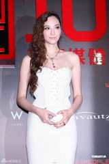 组图：中田英寿吴佩慈许茹芸出席慈善拍卖活动