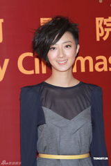 组图：《龙门飞甲》澳门首映 李连杰周迅亮相红毯