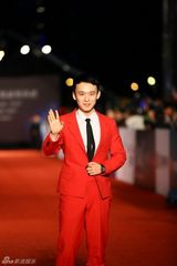 组图：金马红毯群星闪耀 舒淇深V亮胸性感爆棚