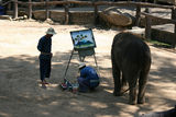 泰国行：清迈欣赏大象画画 参观金色双龙寺