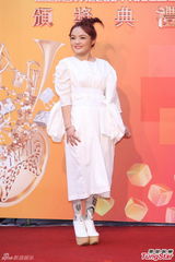 群星亮相金曲奖红毯 蔡依林美腿梁静茹性感(图)