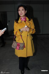 组图：前夫何东舜铭拖欠赡养费 陈复生为离婚案上庭