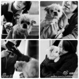 组图：摄影师晒明星旧照:陈冲的脖子巩俐的笑