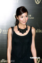 幻灯图：熊黛林李玟乐基儿何超仪等齐聚慈善晚宴