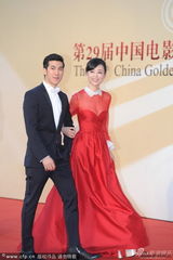 组图：张静初红裙甜美 挽李治廷现身红毯