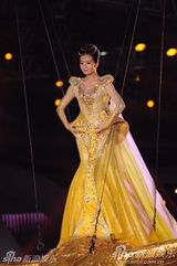 组图：金鹰女神刘诗诗空降现场金裙耀眼