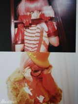 组图：岩佐真悠子性感写真突破尺度