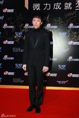 组图：2013微博之夜红毯 李云迪儒雅亮相