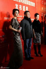 组图：吴奇隆刘诗诗李小璐等亮相华鼎奖红毯