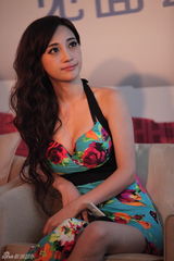 组图：《粉红女郎》发布会 结婚狂阿雅左拥右抱