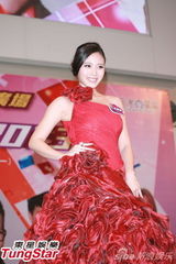 组图：苏永康钟嘉欣与民众跨年 岑丽香等盛装