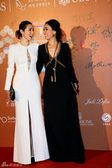 群星闪耀嫣然基金晚宴 王菲旗袍装与李亚鹏恩爱