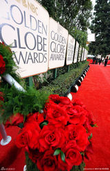 高清组图：第67届金球奖颁奖礼 红毯外围一览