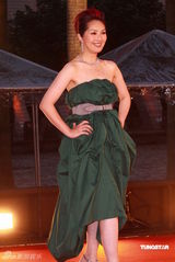 幻灯：香港金像奖颁奖红毯 杨千嬅绿裙典雅