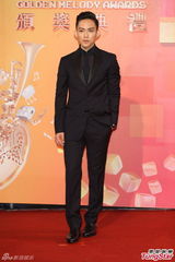 群星亮相金曲奖红毯 蔡依林美腿梁静茹性感(图)