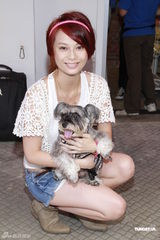 组图：群星呼吁领养宠物 郑融望多关心关淑怡