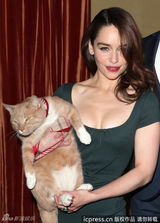 组图：《蒂凡尼的早餐》喵星人对美女不感冒