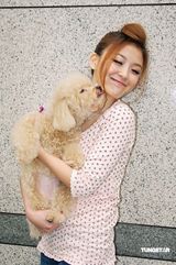 幻灯图：卓文萱与贵宾狗玩亲亲 热心公益为动物请命