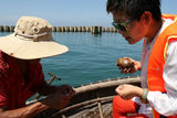 组图：越南岘港游览原生态占婆岛 潜水欣赏珊瑚群