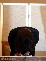 组图：盘点酒井法子艰难复出之路