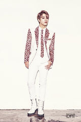 高清：韩团Mpire写真穿格纹豹纹西装张扬个性