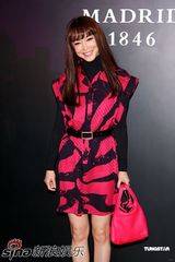 高清组图：林熙蕾优雅亮相 范文芳欲效仿陈慧琳生子