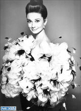 [老照片]奥黛丽-赫本85周年诞辰 天使在人间