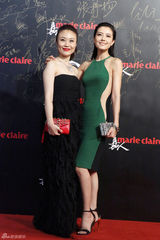 组图：高圆圆拼色紧身裙性感亮相红毯