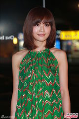 甄子丹妻子否认再办婚礼 阿Sa闭关未见陈伟霆