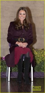 组图：凯特王妃独自出巡 优雅微笑接见民众