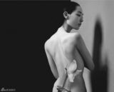 组图：蒋雯丽陈数白百何全裸代言“粉红丝带”