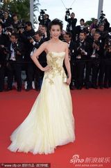 组图：李冰冰戛纳走秀 金色长裙华丽刺绣精致