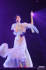 组图：王菲香港演唱会开场 刘嘉玲李亚鹏现身支持