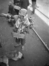 组图：《一九四二》历史背景原图