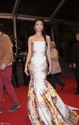 组图：张雨绮连走红毯 裙装华贵各有特色