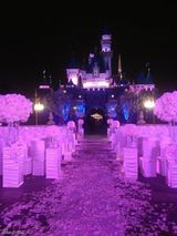 组图：玛莉亚迪士尼穿婚纱贺结婚纪念 子女卖萌