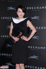 组图：刘嘉玲高圆圆等盛装出席时尚派对