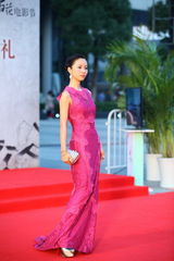 组图：金鸡百花电影节红毯星光熠熠