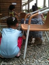 幻灯图：小S玩微博不亦乐乎 大秀宝贝女儿可爱照