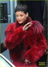 组图：蕾哈娜火红皮草性感妖娆 对粉丝伸魔爪引骚动