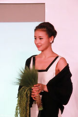 组图：贾青性感出席活动  复古长裙大秀美背