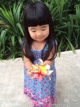 组图：曹格一家四口海边度假 父子卖萌娇妻美艳