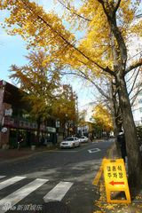 组图：玩转韩国首尔之现实版的“秋天童话”