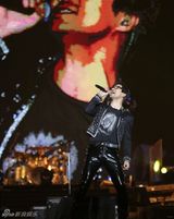 组图：汪峰巡演南宁收官 万人观看引发交通堵塞